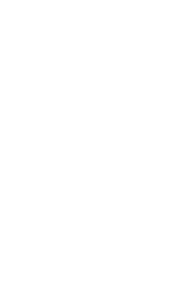 big mountain beer logo